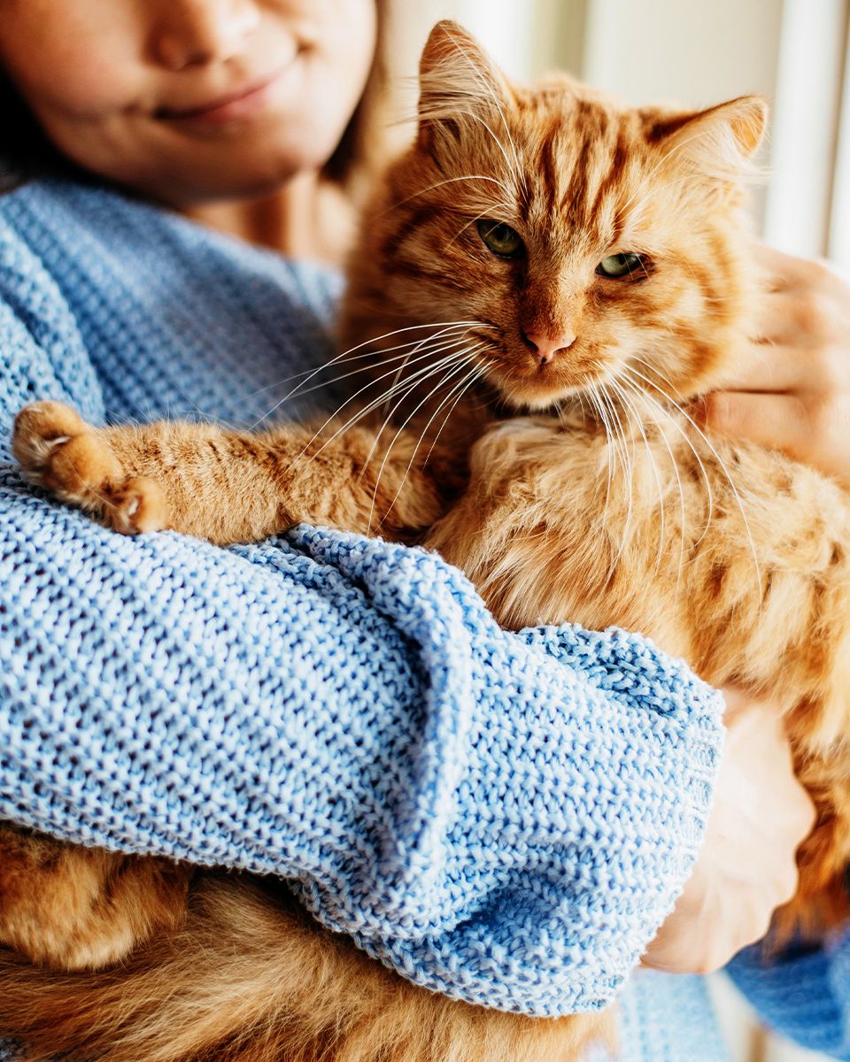 person hugging cat